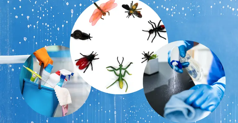 Pest Control Experts
