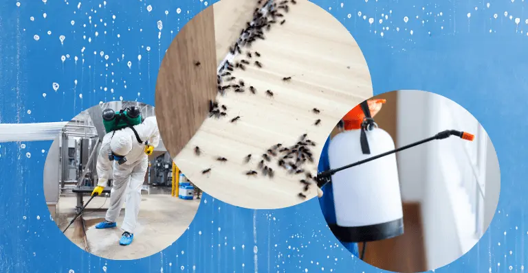 Eco-Friendly Solutions