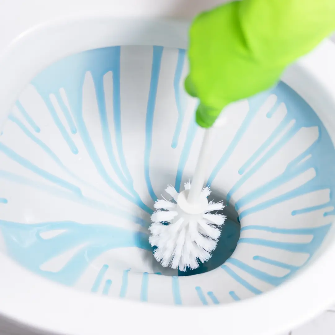 Pit Toilet Disinfecting