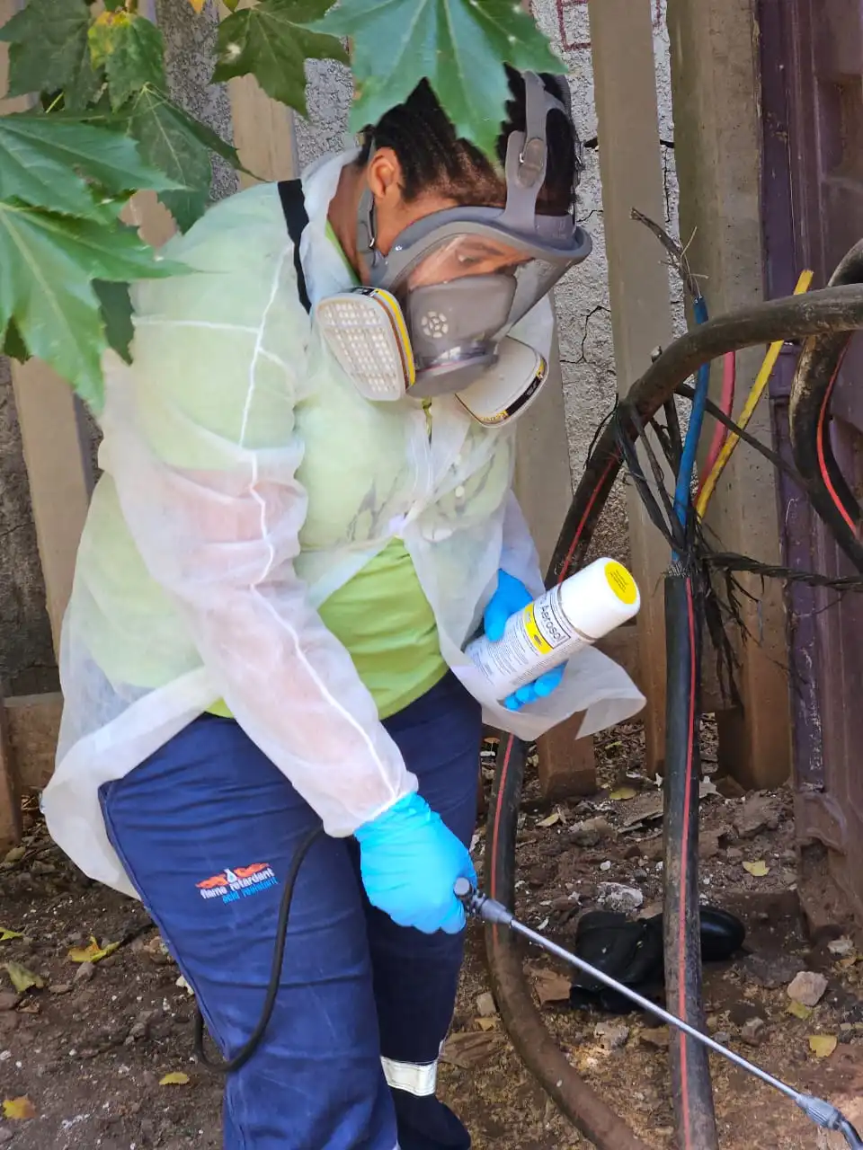 Jobekazi Furmigation Reviews